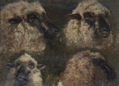 Fisher, Mark. Study of a Sheep