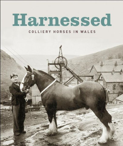 Harnessed – Colliery Horses in Wales